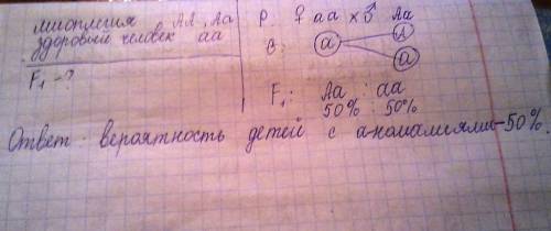 Миоплегия наследуется как доменантный признак. определите вероятность рождения детей с аномалиями в 