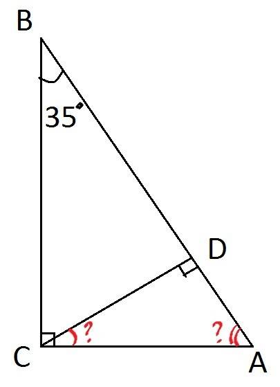 Втреугольнике авс угол с равен 90 градусов, а угол в равен 35 градусов, сд - высота, найдите углы тр