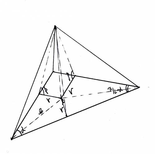 Основание пирамиды - прямоугольный треугольник с острым углом альфа. расстояние от основания высоты 