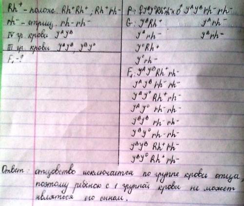 Учеловека наличие в эритроцитах антигена резус-фактор (фенотип rh) определяется доминантным геном d.