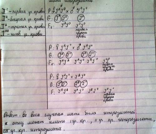Учеловека группа крови определяются тремя аллелями: а,в,0. первой группе крови соответствует генотип