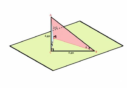 Катет bc прямоугольного треугольника abc лежит в проскости α. вершина a удалена от неё на 2√2 дм. bc