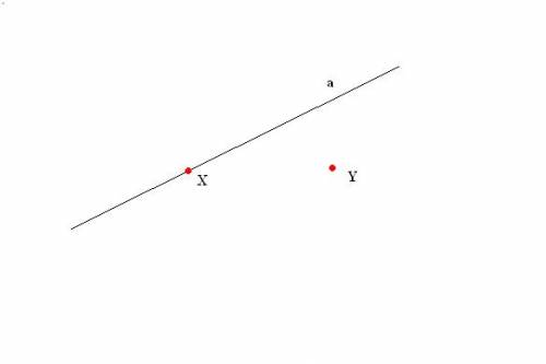 Прямая а проходит через точку х и не проходит через точку y какая из точек лежит на прямой а?