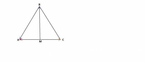 Вравнобедренном треугольнике abc ав = вс = 5 см, точка м - середина ас и вм = 4 см. найдите величину