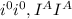 i^{0} i^{0}, I^{A} I^{A}