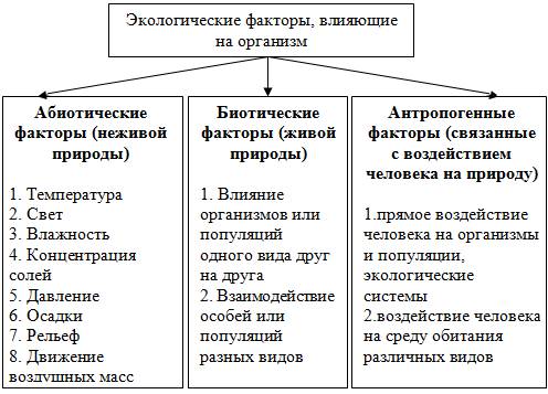 Для сторонников миросистемного подхода, К. Маркс является основателем _ понимания общественных проце