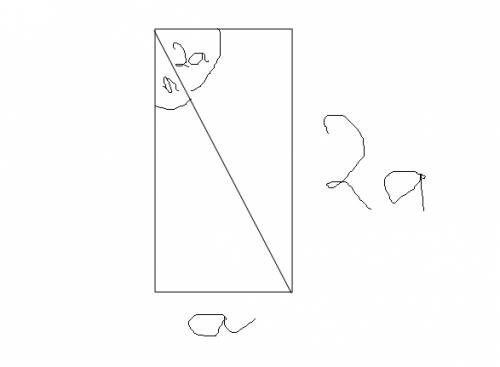 Впрямоугольнике диагональ делит углов отношении 1: 2 меньшая сторона равна 5 найти его диагональ. то