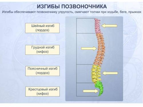 Поділіть паралелограм на чотири рівновеликі частини прямими, як і проходять через одну з його вершин