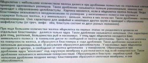 Особые суды для расправы с еретиками и вероотступниками в XIII-XIX вв. инквизиция «суды сотен»