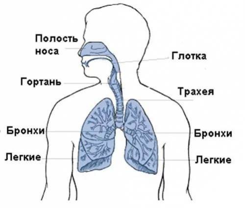 Составьте логическую схему, показав в ней последовательность и взаимосвязь событий, приведших Францу