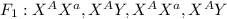F_{1}: X^{A}X^{a}, X^{A}Y, X^{A}X^{a}, X^{A}Y