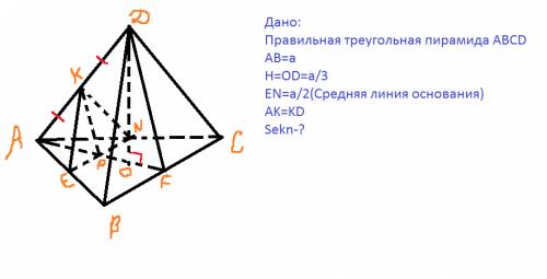 Прочитайте. 1. Зимой не увидишь в лесу медведей, барсуков, ежей, что спят всю зиму. 2. У лесных мыше