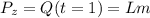 P_{z}=Q(t=1)=Lm