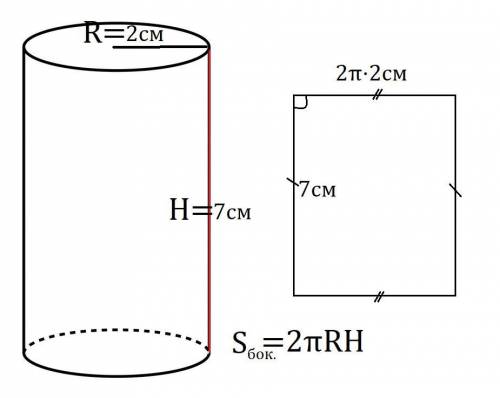 1.найдите площадь боковой поверхности цилиндра,если радиус основания равен 2 см, а высота 7 см.