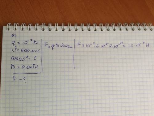 В себе заполни клеточки нужными словами. ответь и на другие вопросы. Ставь ?, если не уверен(а) в пр