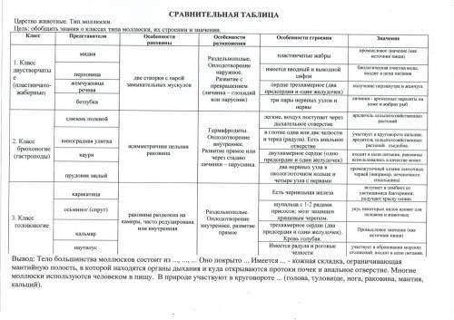 Симетрия тела брюхоногих, двустворчатых, головоногих? ? кровеностая системы брюхоногих, двустворчаты