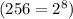 (256=2^8)