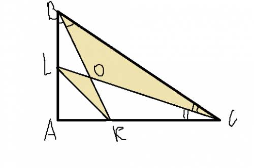 Втреугольнике abc проведены биссектрисы bk и cl ,пересекающиеся в точке o. докажите,что треугольники
