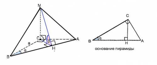 100 ! с рисунком ! основою піраміди є прямокутний трикутник з катетом а і прилеглим до нього гострим