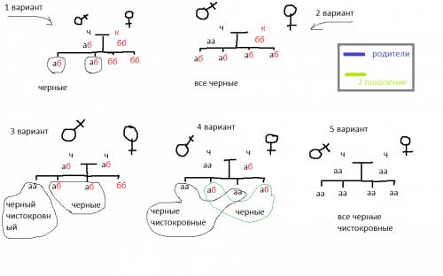 Имеется стадо коров в котором есть животные черной и красной масти. известно что доминантный ген в о