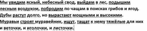 Выполните синтаксический разбор предложения и составьте схему мы увидим ясный небесный свод выйдем в