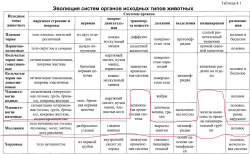 Заполните таблицу системы органов моллюсков