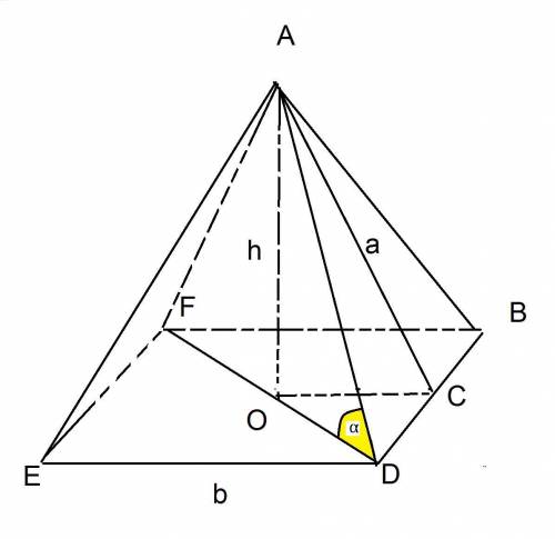 Апофема правильної чотирикутної піраміди дорівнює а. бічне ребро піраміди утворює з площиною основи