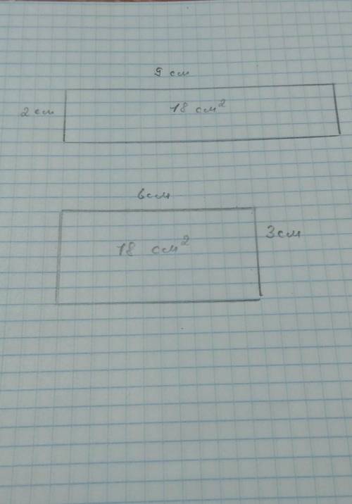 Начерть 2 прямоугольника площадь которых 18 см² как начертить