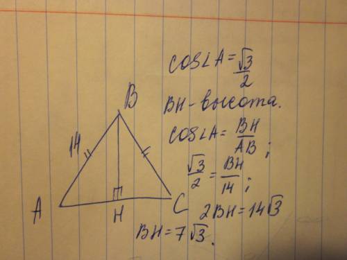 Вравнобедренном треугольнике авс с основанием ас боковая сторона ав равна 14, а косинус угла а равен