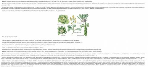 Биология 6 класс конспект по параграфу 30 культурные растения ​