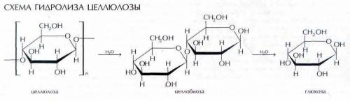 Напишите уравнения гидролиза а)триолеинб) целлюлозы​