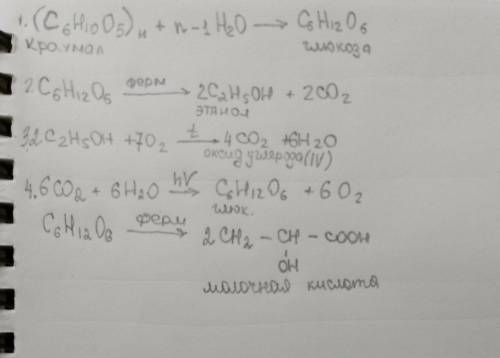 Крохмаль-глюкоза-етанол-карбон (4)оксид - молочна кислота