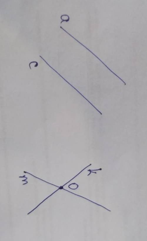 По и по русс по начертити параллельные прямые а и с.начертите прямые к и m которые пепесекаються в т