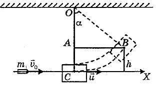 Пуля летевшая горизонтально со скоростью v0=400 м/с попадает в брусок, подвешенный на нити l=4м, и з