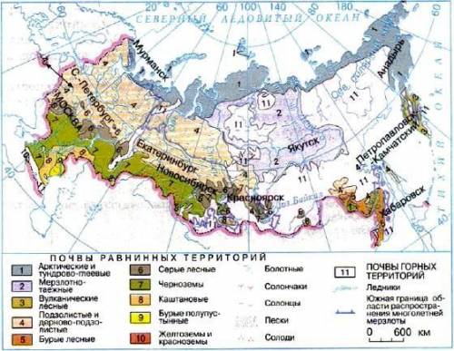 Заполнить таблицу. характеристика типов почв на территории россии. тип почв. характерная растительно