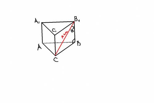 Диагональ боковой грани правильной треугольной призмы равна 2 см и образует с боковым ребром угол 45