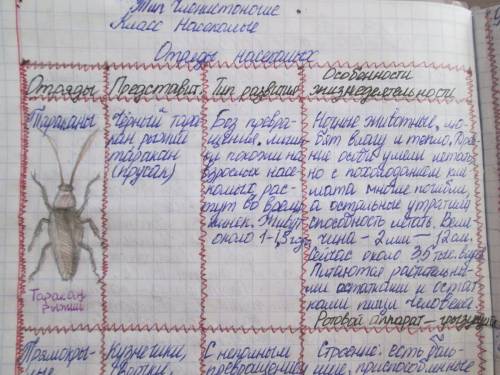 Характеристика отрядов насекомых. заполните таблицу. представители тип развития кол-во крыльев тип п