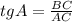 tg A=\frac{BC}{AC}