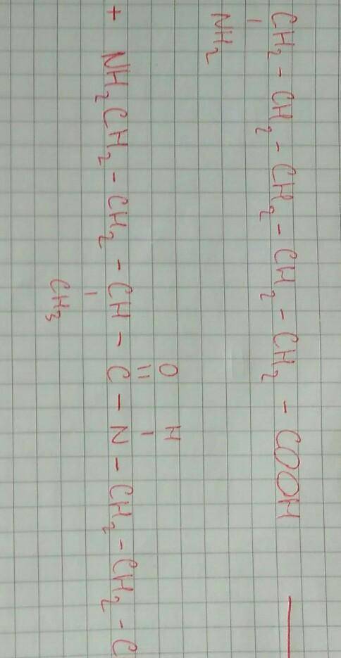 Рівняння утворення дипептиду з 2 метил - 5 амінопептанової кислоти і 6 аміногексанової кислоти