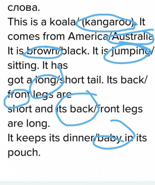 Прочитай текст о данном животном. выбери верные слова.this is a koala/ (kangaroo). it comes from ame