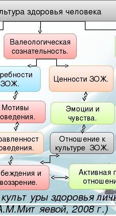 Доклад на тему культура здоровья как одна из составляющих образованности. (кратко)