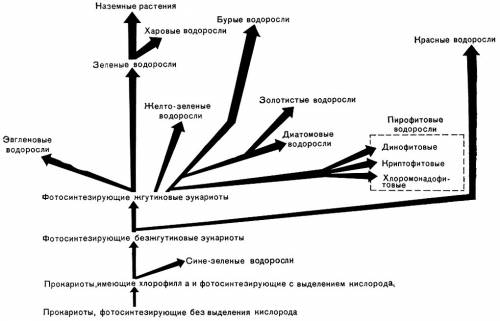 1.первыми растения мина суше были псилофиты 2.рептилии произошли от млекопитающих 3.в архейской эре