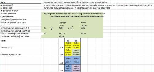 Утоматов пурпурная окраска стебля доминирует над зелёной, а рассечённые листья – над цельнокрайними