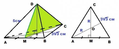 Давс-правильная треугольная пирамида,сторона основания 3 корня из 3 см,а боковое ребро 5 см. мс-меди