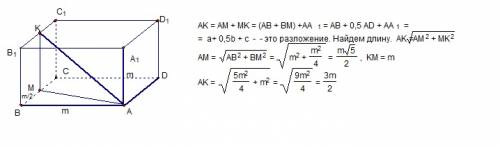 Точка к - середина ребра в1с1 куба авсdа1в1с1d1. разложите вектор ak по векторам a=ab, b=ad, c=aa1 и