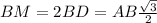 BM=2BD=AB\frac{\sqrt3}{2}