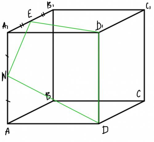 Постройте сечение куба abcda1b1c1d1, проходящее через вершину d и середины рёбер aa1 и a1b1. определ