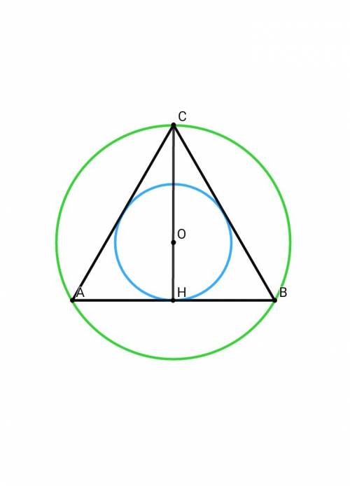 Радиус окружности , описанной около правильного треугольника, равен 18 дм. найдите радиус окружности