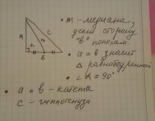 Постройте прямоугольный, равнобедренный треугольник и проведите медиану из острого угла