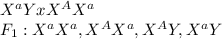 X^aY x X^AX^a\\F_1: X^aX^a, X^AX^a, X^AY, X^aY